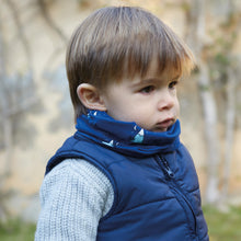 Cargar imagen en el visor de la galería, Midnight Mountains